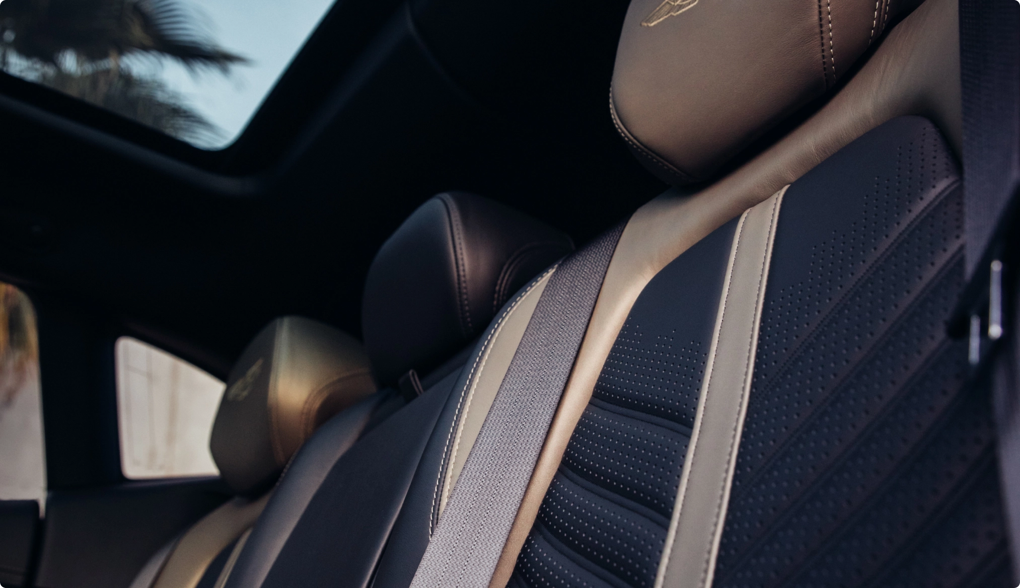 Aston Martin Customisation